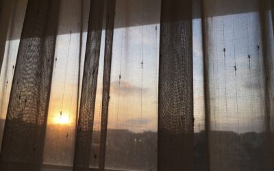 Verhuizen in één dag of meerdere dagen?