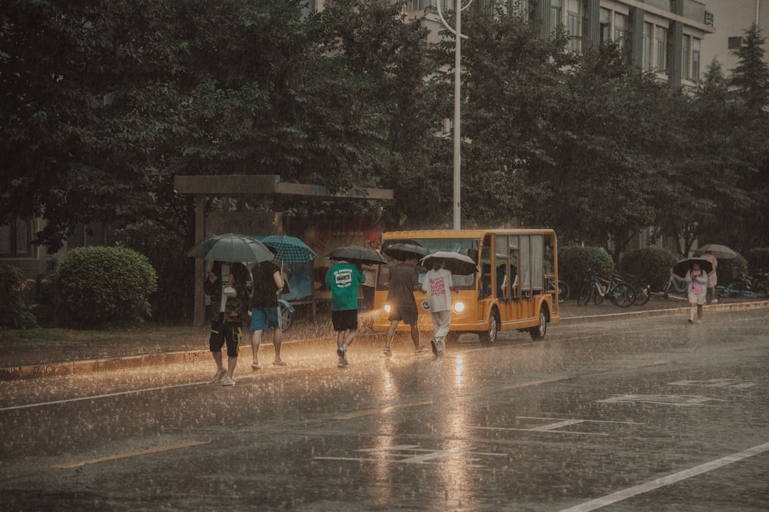 Verhuizen bij regen of slecht weer