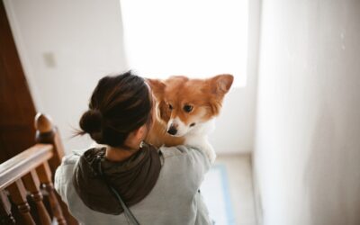 Verhuizen met huisdieren: zo pak je het aan